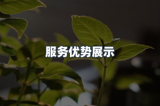 服务优势展示